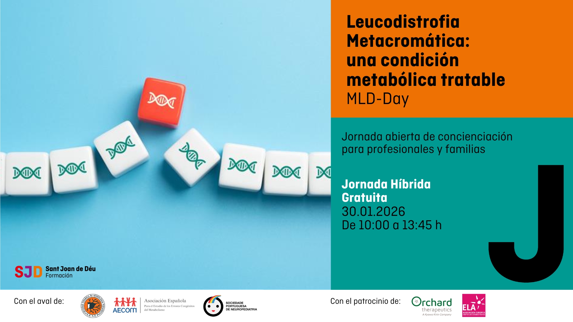 Jornada Leucodistrofia Metacromática: una condición metabólica tratable